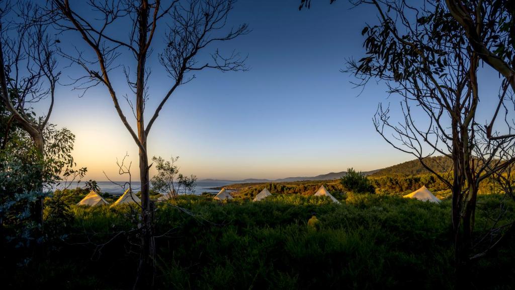 Little Beach Glamping (Four Mile Creek)