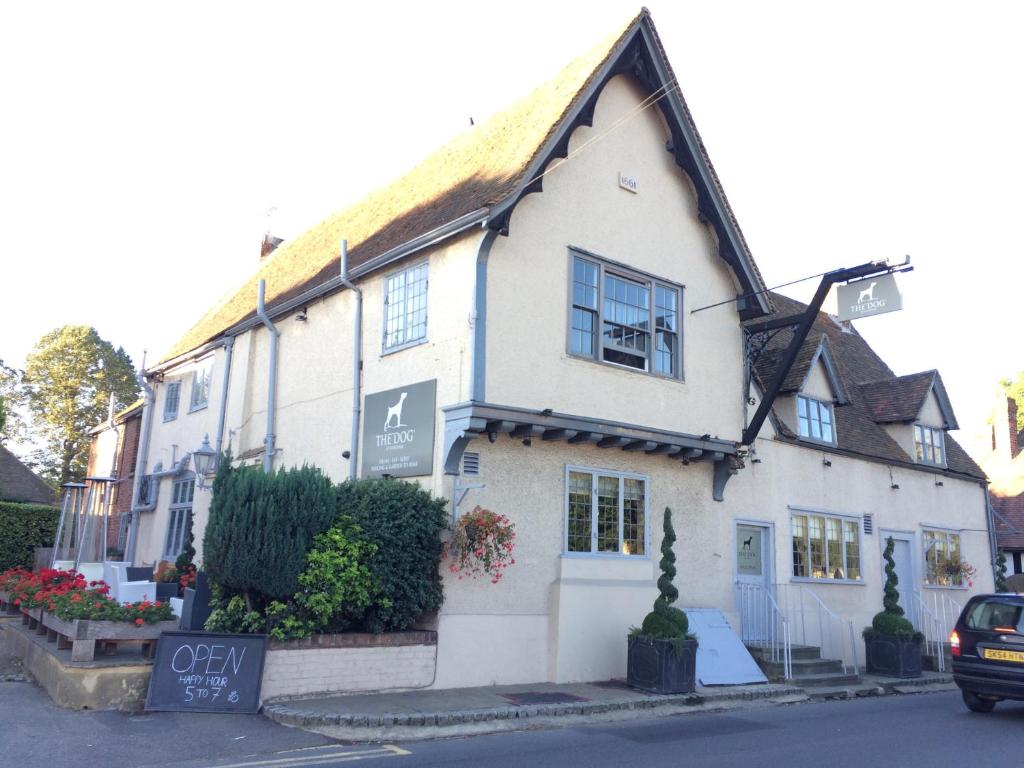 The Dog At Wingham (Wingham)