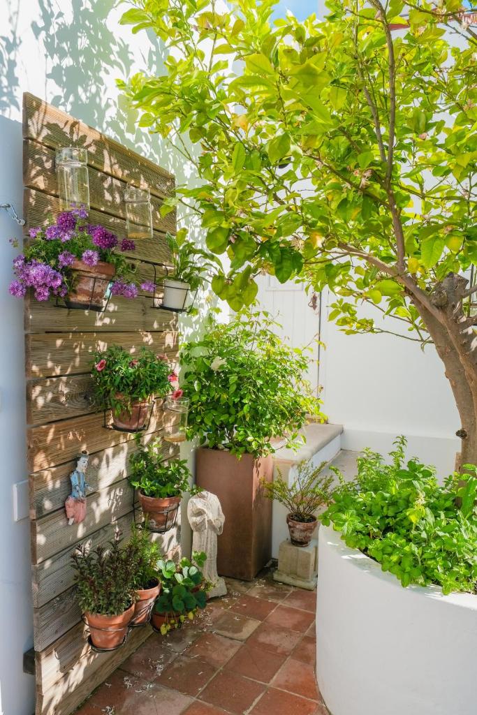 São Paulo Boutique Hotel - SPBH (Tavira)