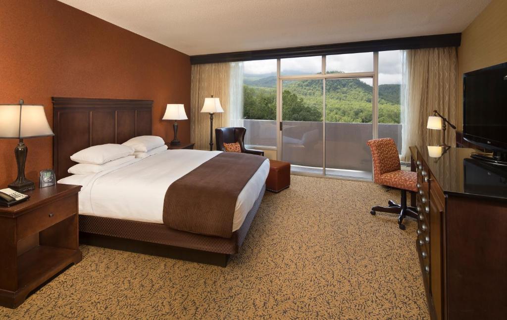 The Park Vista (Gatlinburg)