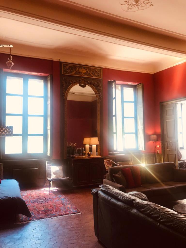 Palais des Papes - Appartement dans Hôtel Particulier