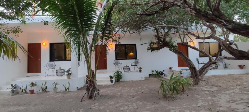 Valentina Holbox