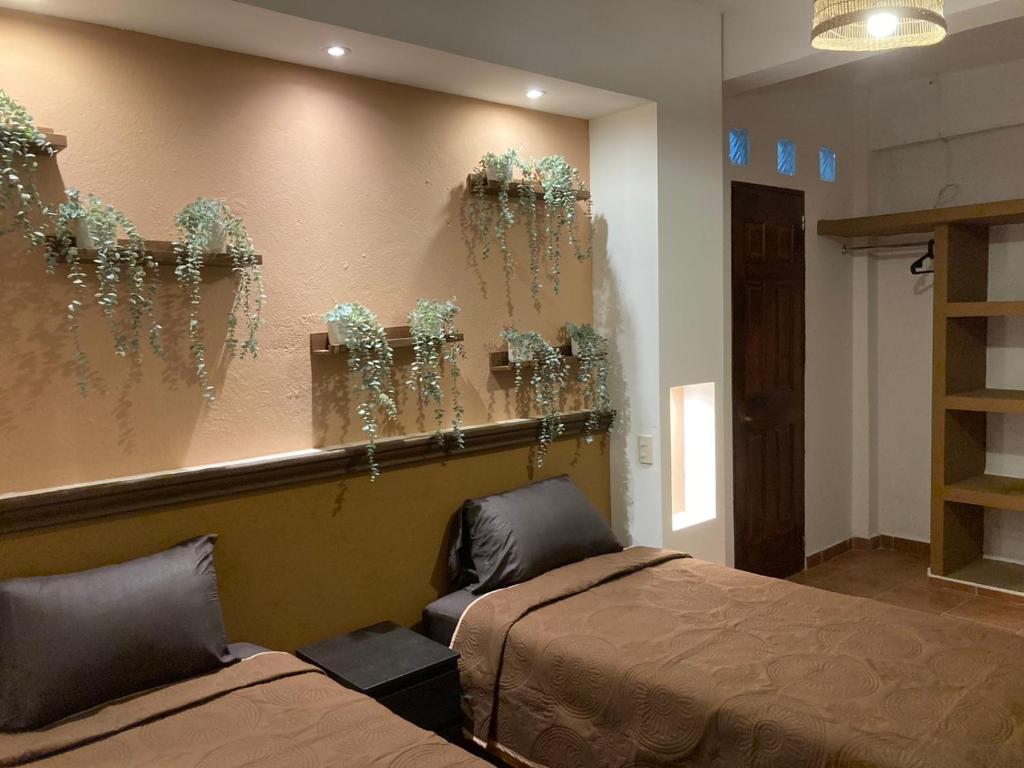 LU'UM Master Suites