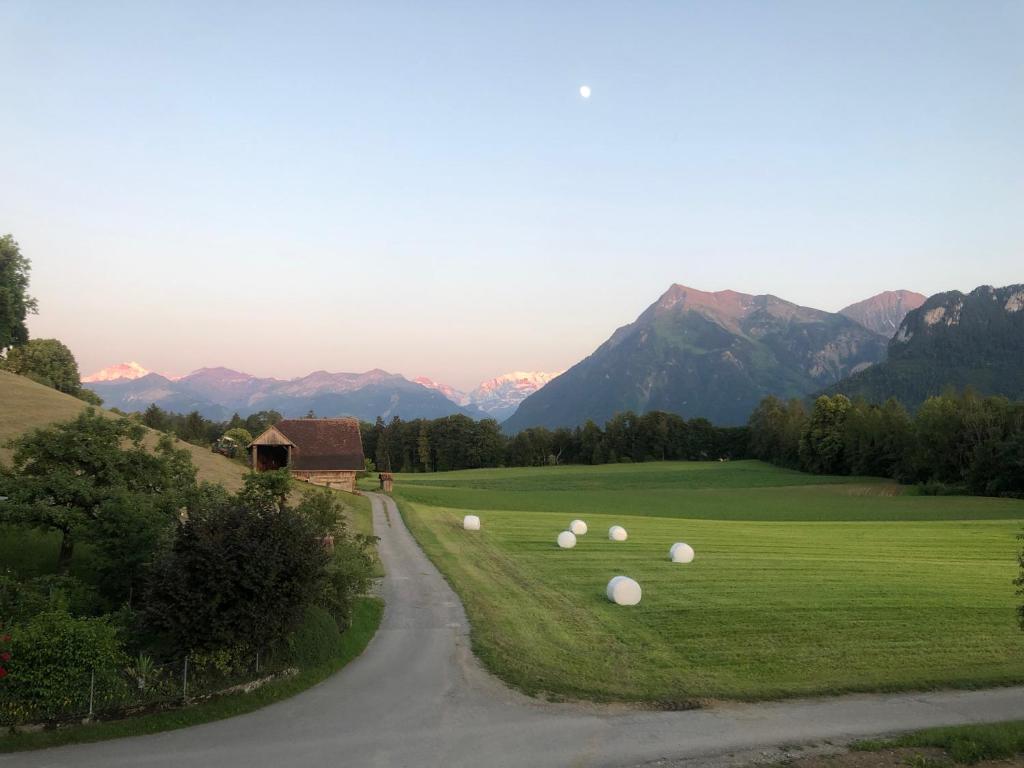 Traumwohnung auf kleiner Pferdefarm