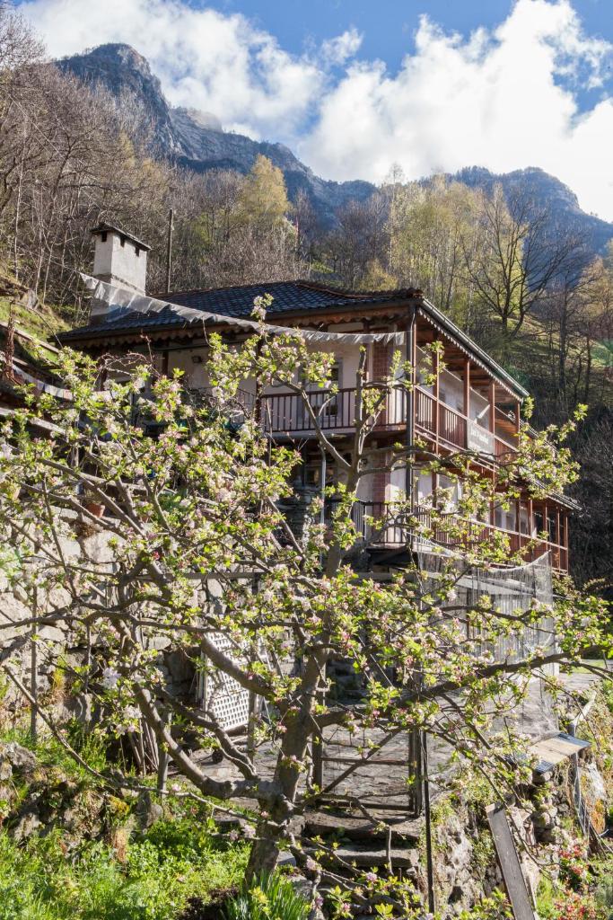 Bed and Breakfast da Toldo, RUSSO