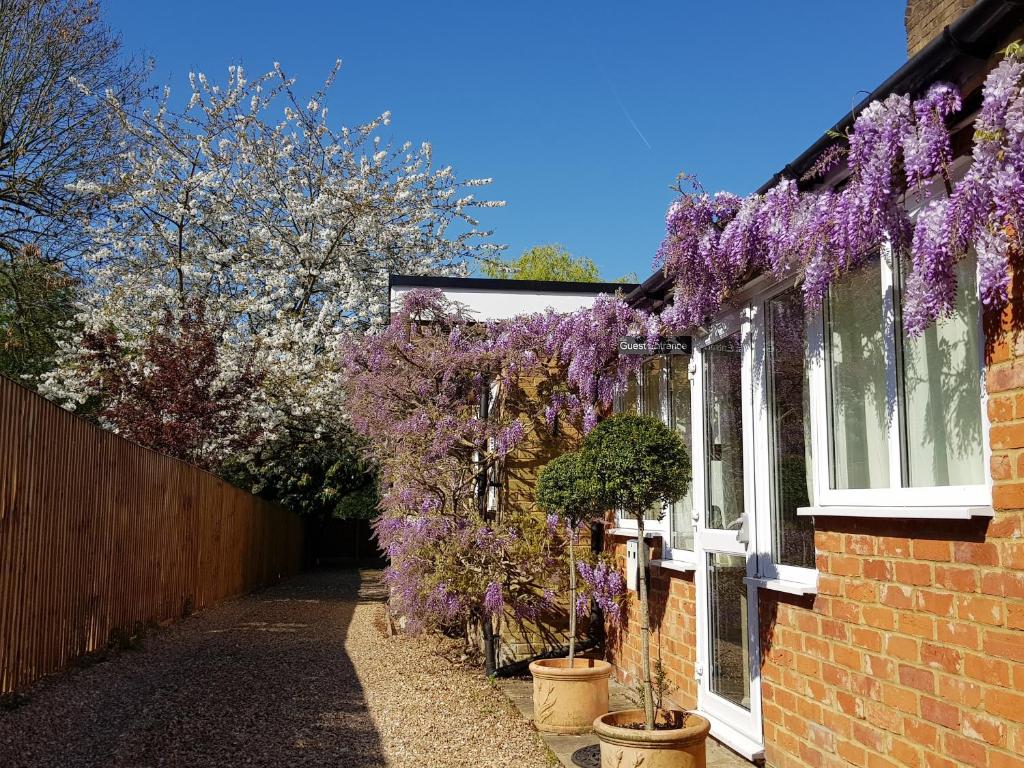 The Bakehouse Guesthouse (Maidenhead) 