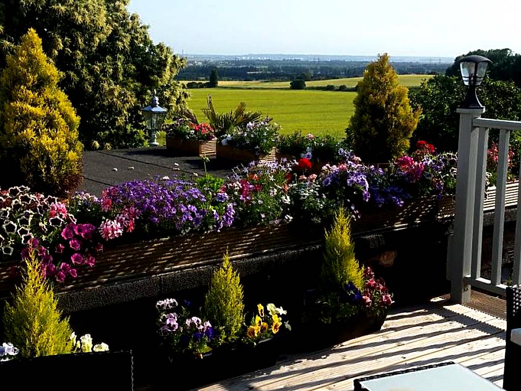 Bed & Breakfast Fieldview (Rochester) 