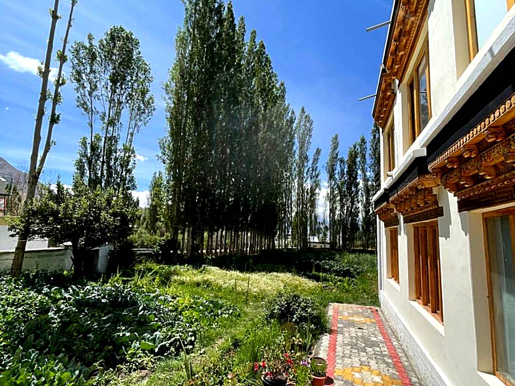 Tongspon inn