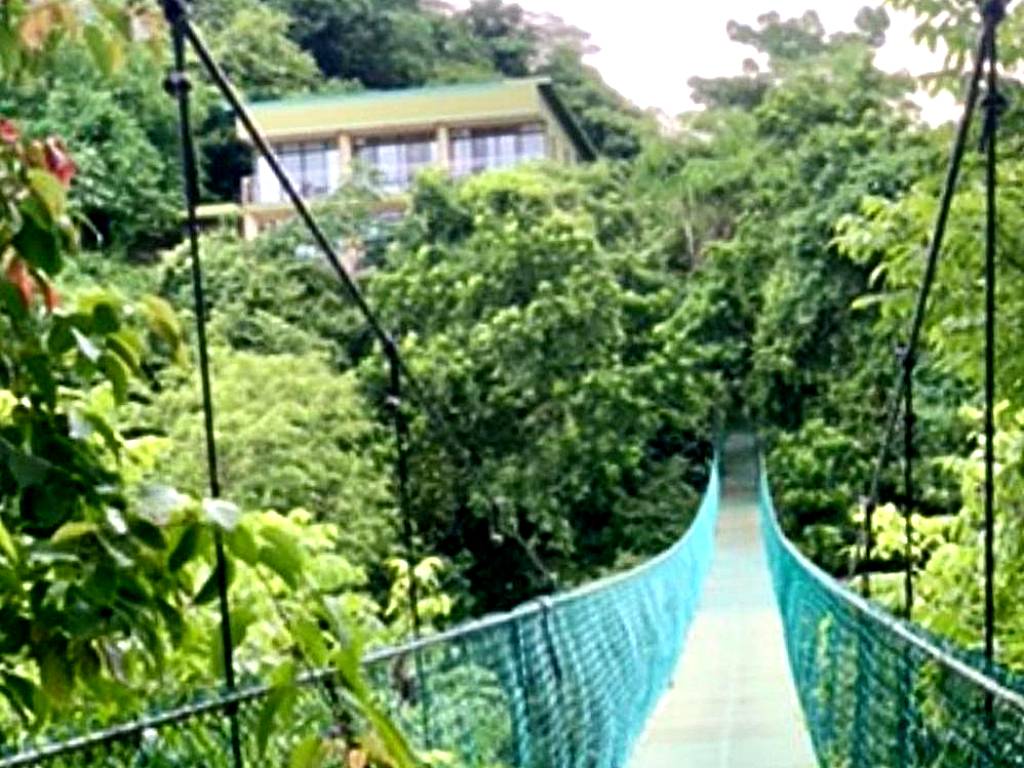 Sunshine Sanctuary Boutique Jungle Lodge