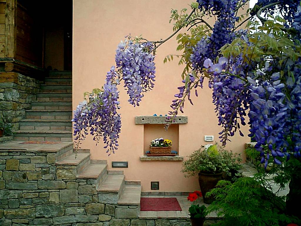 Il Glicine (San Dorligo della Valle)