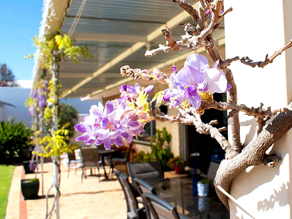 Boathouse Bunbury Bed & Breakfast (Bunbury) 