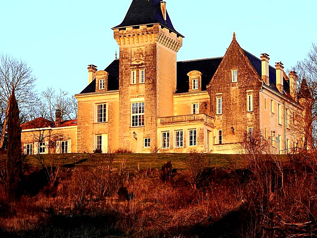 Chateau de Bellevue B&B et Appartements avec Piscine chauffée (Saint-Avit) 