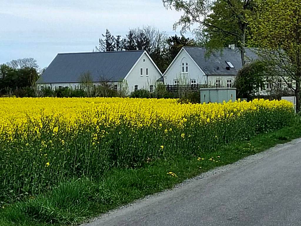 Birkelund BnB (Otterup) 