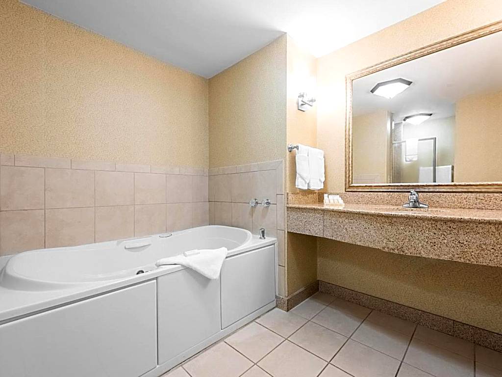 Hilton Garden Inn Meridian: King Room with Spa Bath (Meridian)