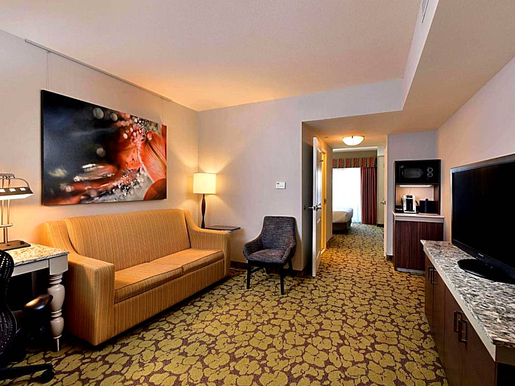 Hilton Garden Inn Wisconsin Dells: One Bedroom King Suite with Spa Bath and Sofa Bed (Wisconsin Dells)