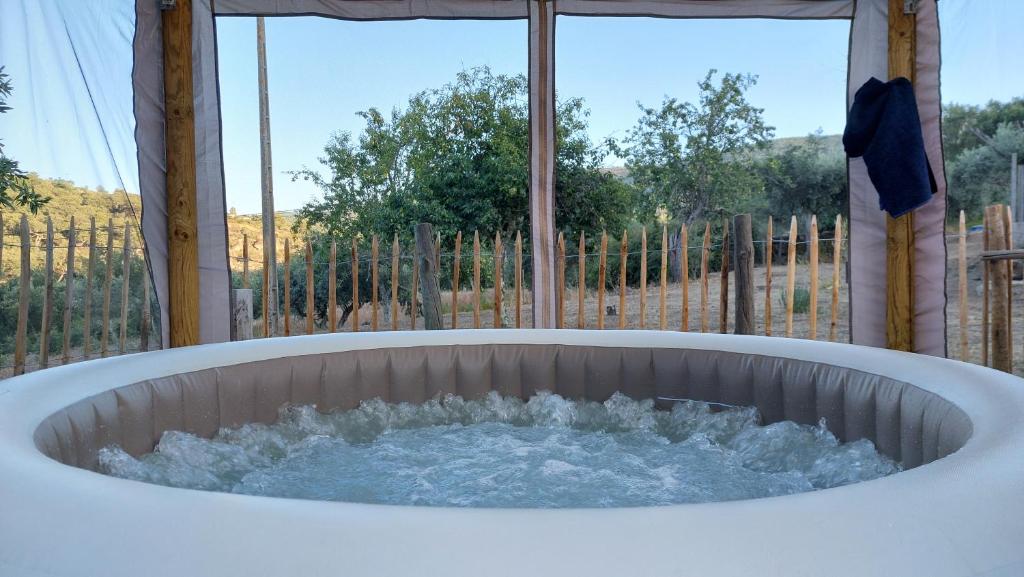 Magic Nature Lodge