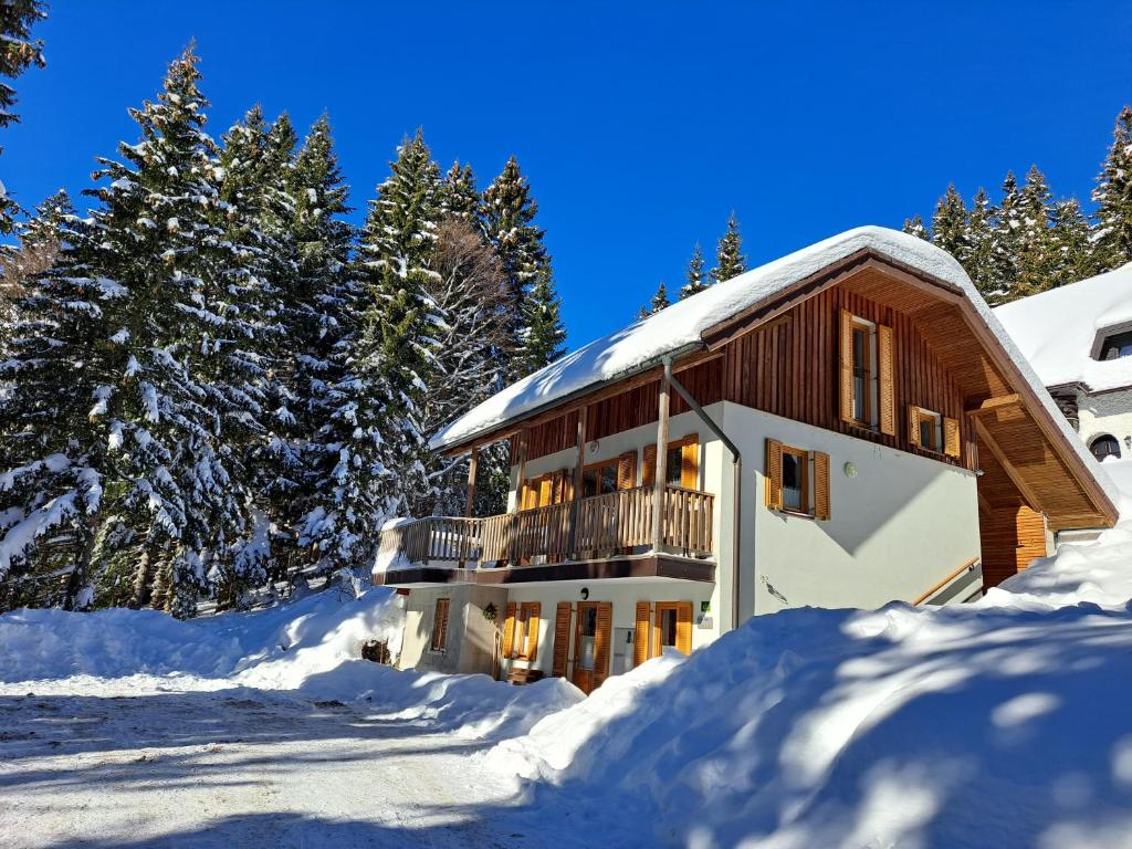 Chalet Harmony Rogla - apartment