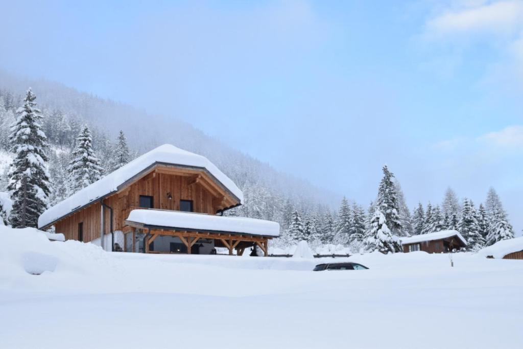Almchalet Pöllatal