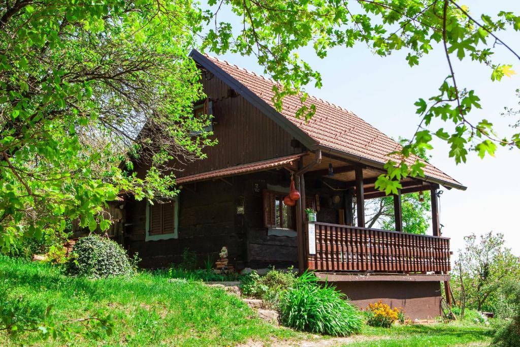 Na Okić - a private forest oasis