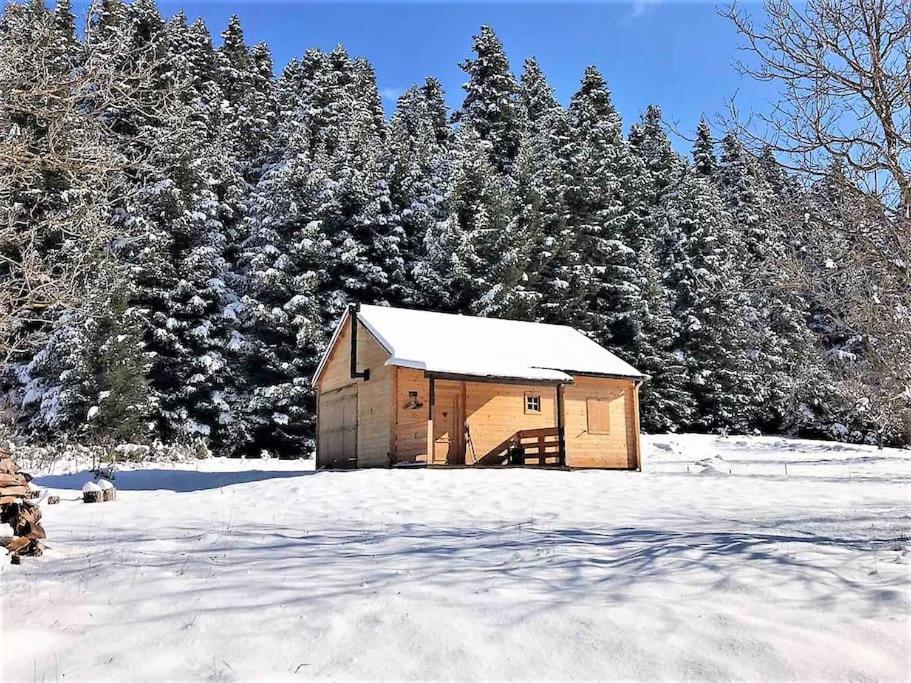 Wood Cabin by the River - for Nature Lovers