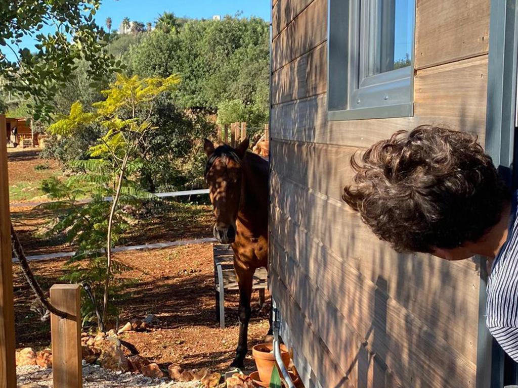 Location Tiny House Loule