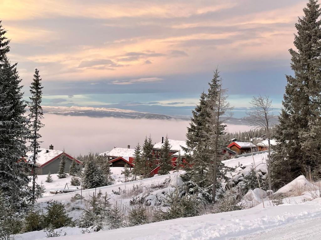 Ski and Bike-In and Out
