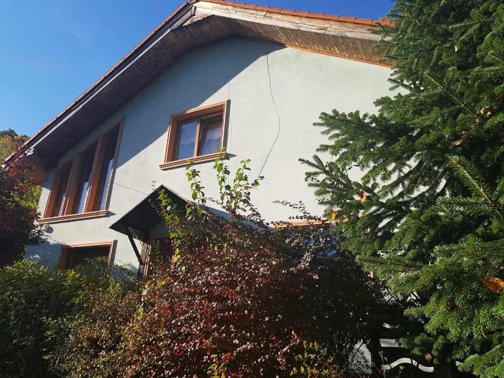 Vila de vacanta Amalia