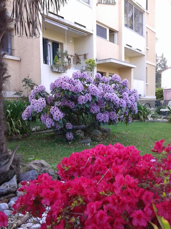 Les Floralies bis