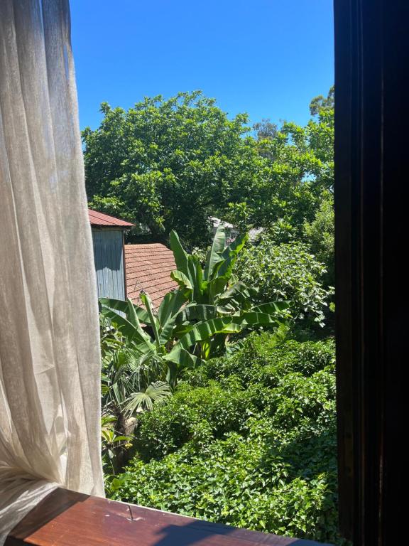 3-Bedroom Apartment in Kobuleti
