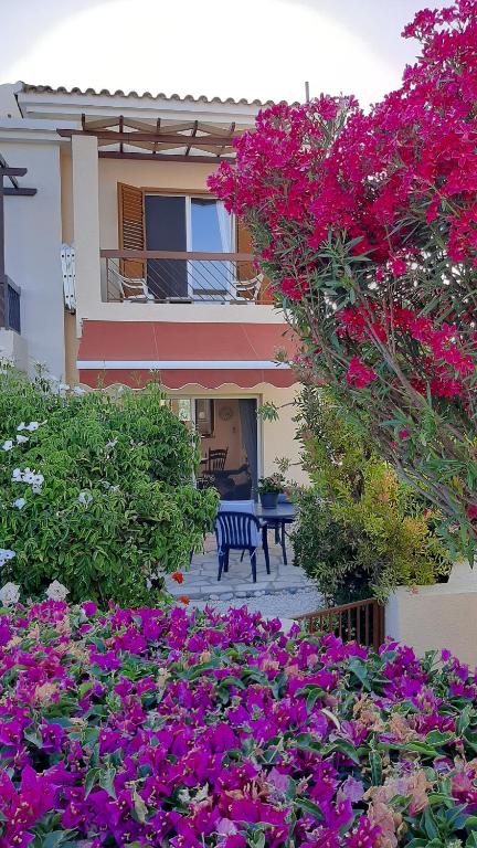 Eva Gardens corner house Lower Peyia Paphos