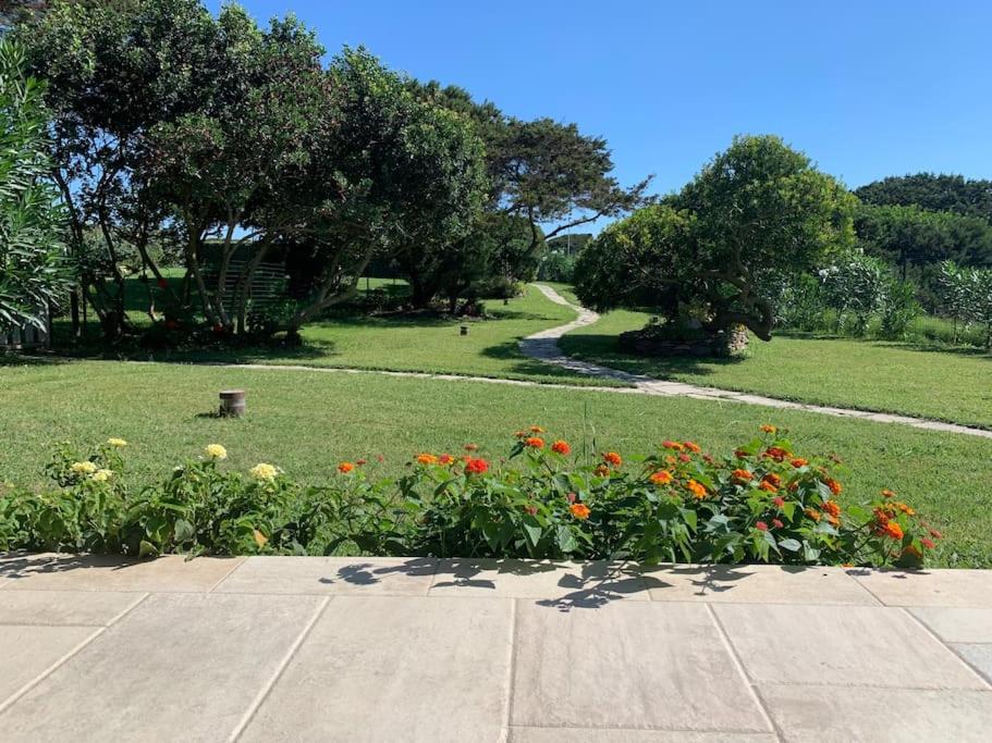 Il giardino sulla Pelosa