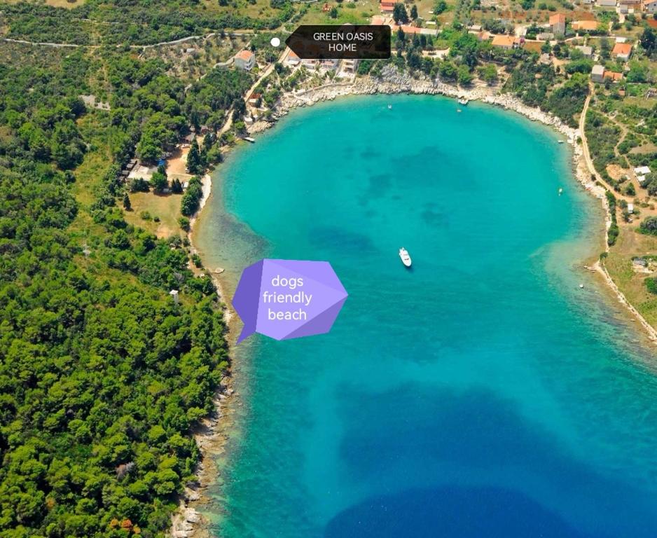 Green oasis 100m from sea,pets friendly