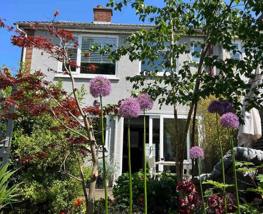 Suburban Hideaway in Suffolk