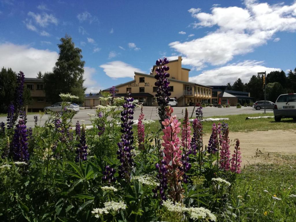 Chalet Ma Neou Centre De Vacances