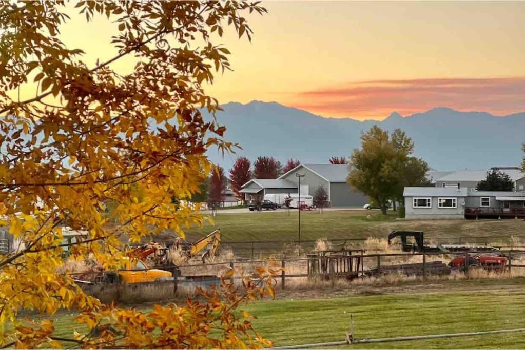 Silver Ranch